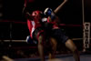Sanshou Showdown -Set III