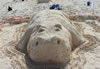 Sand Sculpture Competition - Set II